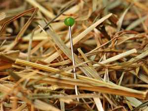 green pin on brown hay